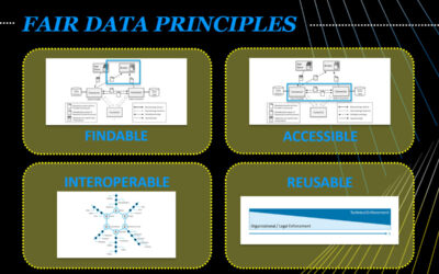 IDS and the FAIR DATA PRINCIPLES