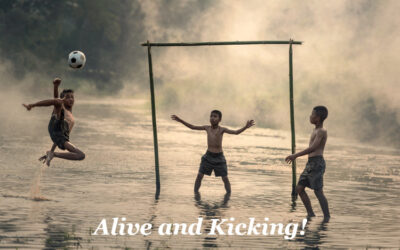 Restart of our IDSA blog!