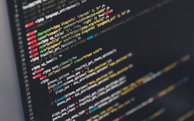Cognitive Data for Digitalization – The Neglected Variety Dimension