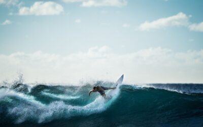 Building the European Industrial Data Space or “Learning to Surf”